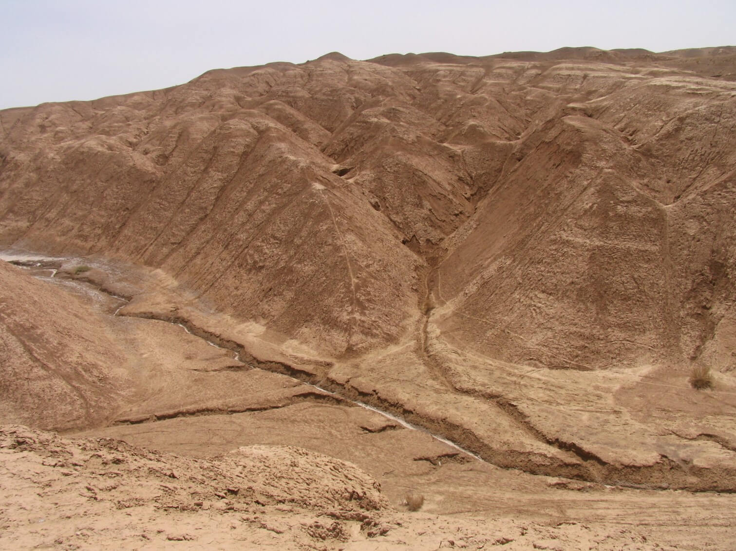 Maranjab Desert, Iran