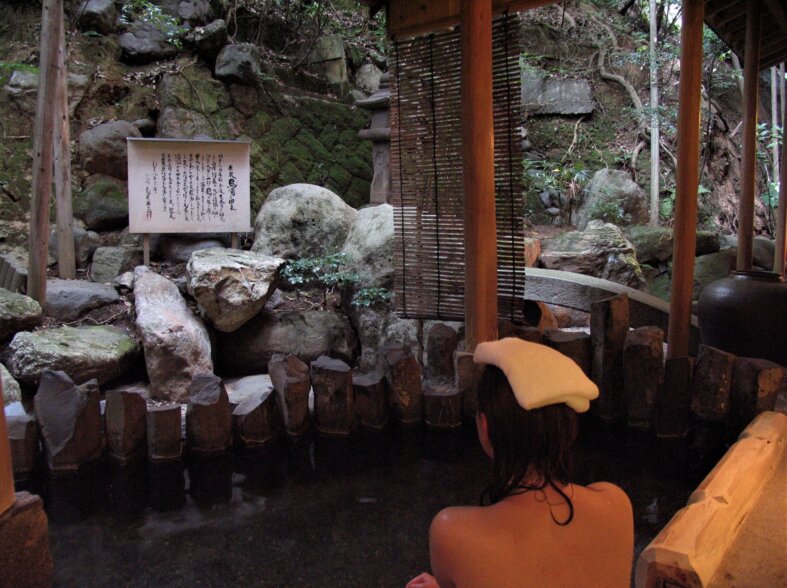 Araya Totoan Onsen
