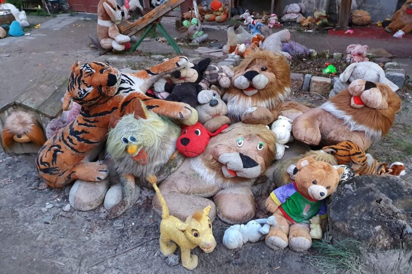 Yard of Lost Toys