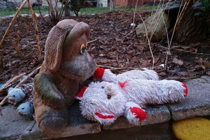Yard of Lost Toys