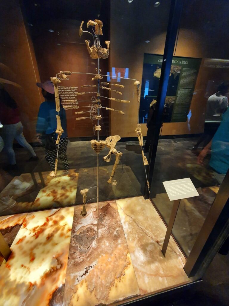 Museo Nacional de Antropología