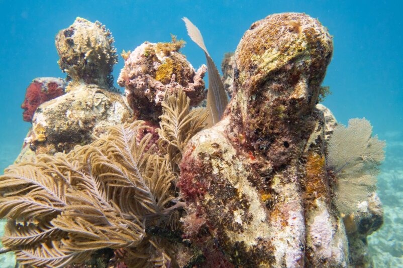 Underwater Museum of Art, by stnz.fi