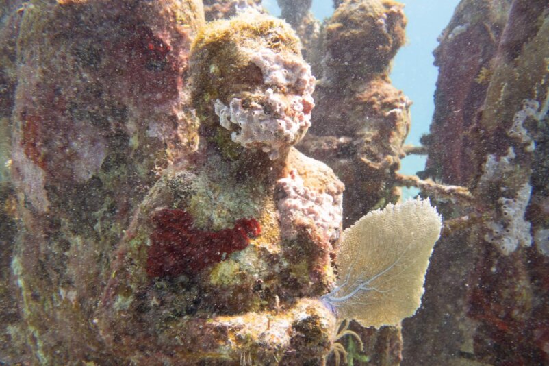 Underwater Museum of Art, by stnz.fi