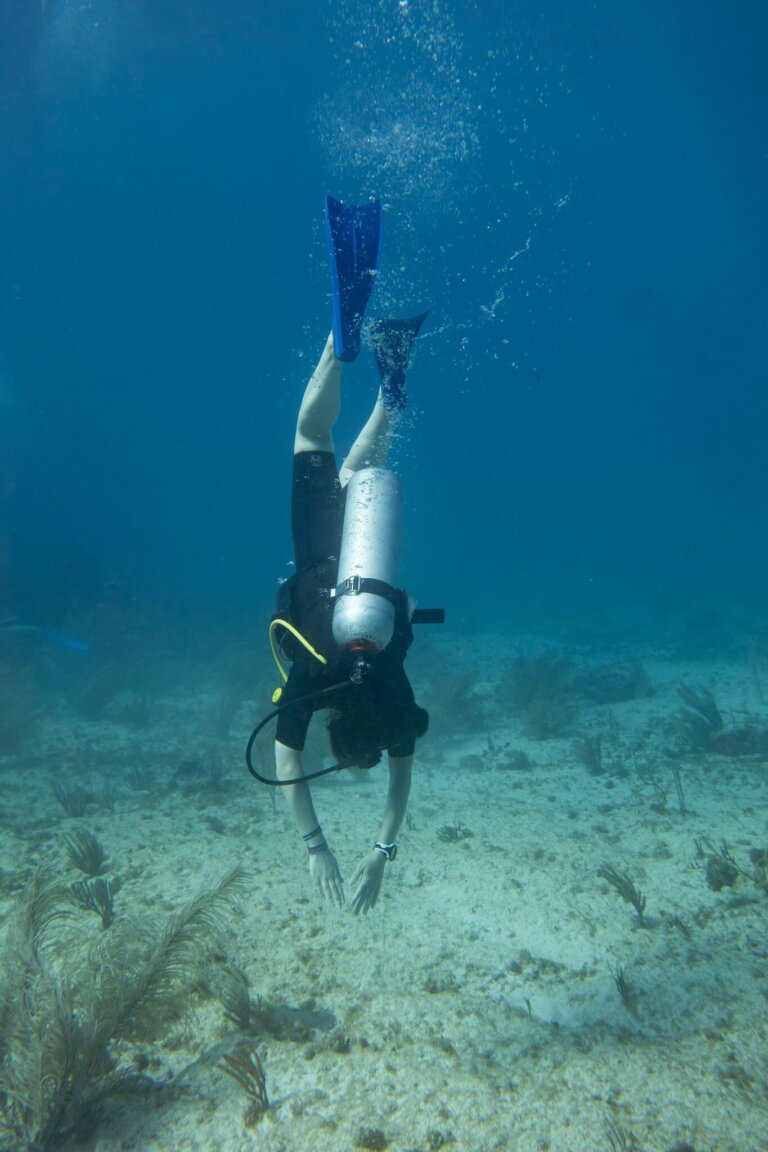 Manchones Reef, by stnz.fi