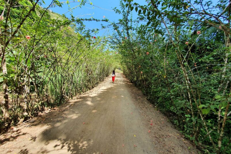 Drake Bay Hiking Trail