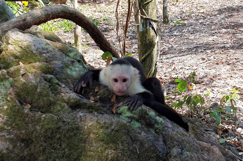 Punta Rio Claro Wildlife Refuge