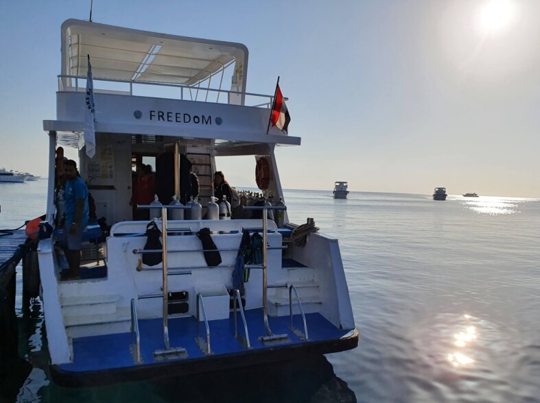 Diving trip to Ras Mohammad