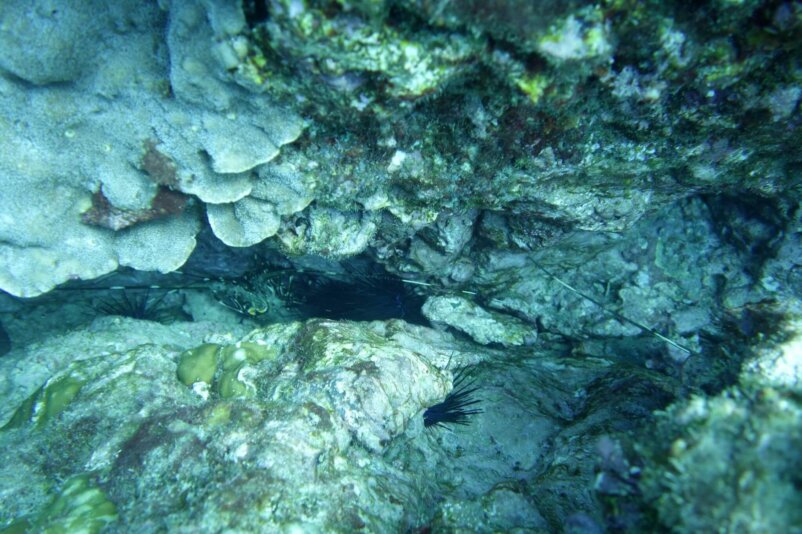 Shark Cave, Costa Rica, by stnz.fi