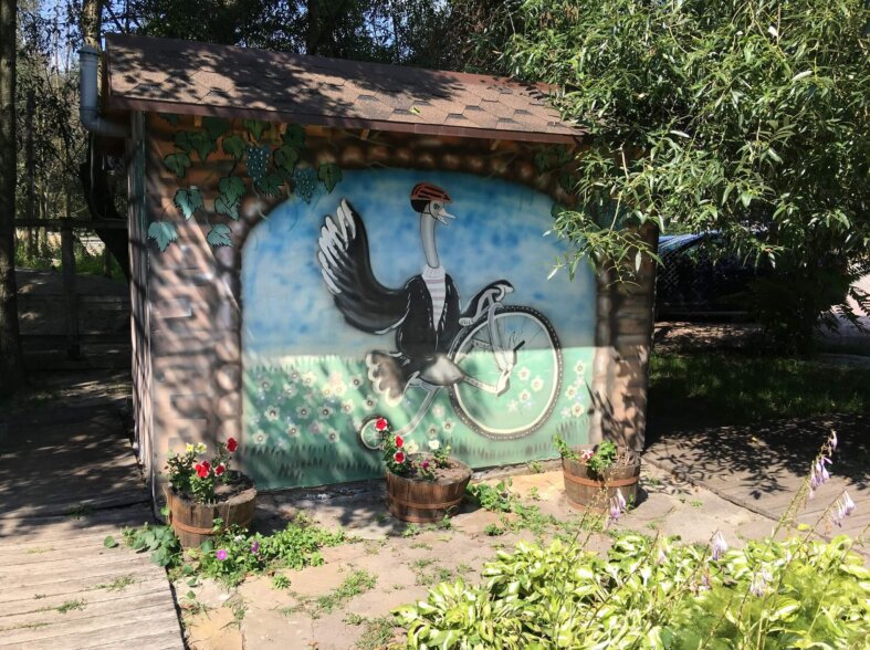 Ostrich Farm